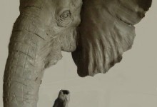 1Elephant 3